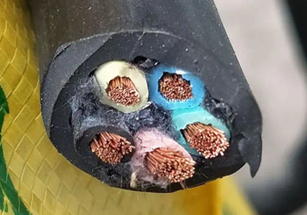 1677465284101906.png 圖片.png